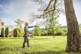 Best Storm Damage Tree Cleanup  in Citrus Hills, FL